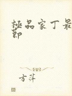 极品家丁最新章节封面