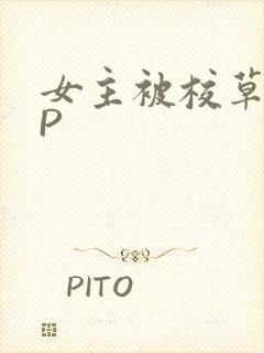 女主被校草们NP封面