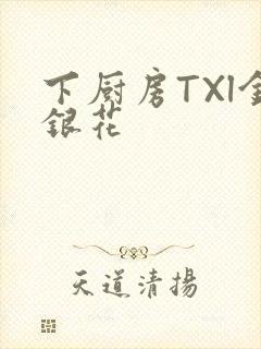 下厨房TXl金银花