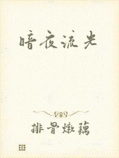 暗夜流光封面