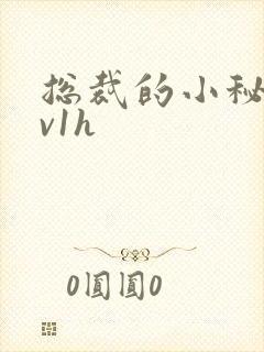 总裁的小秘书1v1h