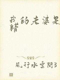 我的老婆是狐狸精