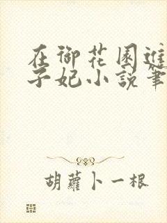 在御花园进入太子妃小说笔趣阁