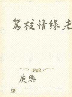 驾校情缘老赵封面