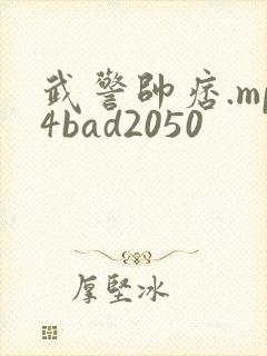 武警帅痞.mp4bad2050