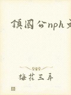 镇国公nph文封面