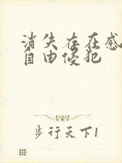 消失存在感消失自由侵犯封面