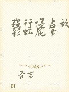 强行侵占放了个彩虹屁笔封面