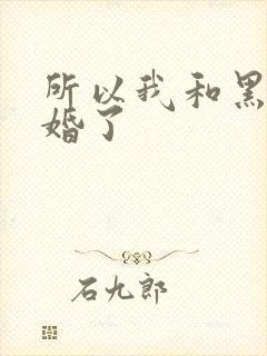 所以我和黑粉结婚了