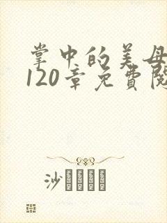 掌中的美母版主120章免费阅读