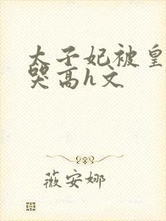 太子妃被皇上c哭高h文