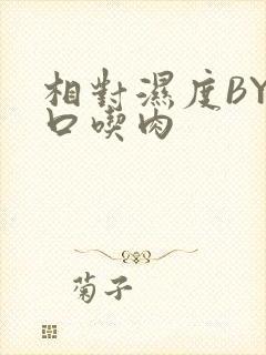 相对湿度BY大口吃肉