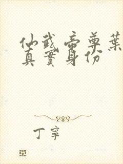 仙武帝尊叶辰的真实身份