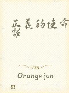 正义的使命 小说