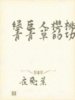 绿巨人樱桃荔枝青青草的功效封面