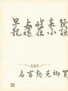 早上醒来发现巨龙还在小说封面