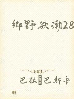 乡野欲潮28章