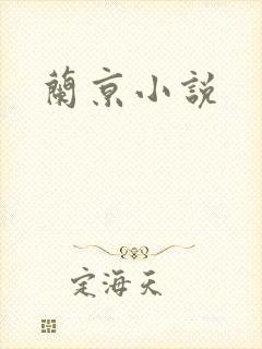 兰京小说