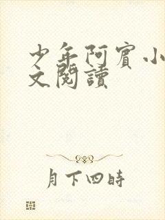 少年阿宾小说全文阅读封面