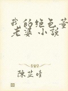 我的绝色董事长老婆 小说