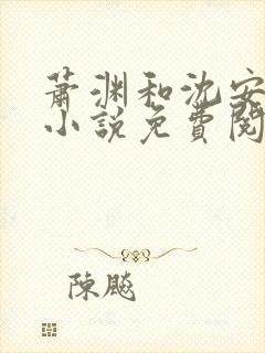 萧渊和沈安安的小说免费阅读