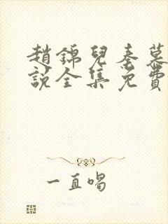 赵锦儿秦慕修小说全集免费封面