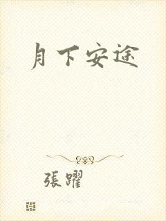 月下安途封面
