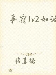 争宠1v2如酒封面