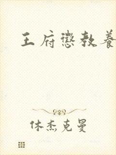 王府惩教养日常