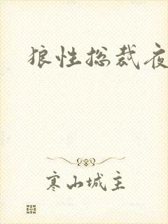 狼性总裁夜欢宠