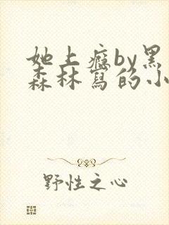 她上瘾by黑暗森林写的小说免费阅读无弹窗