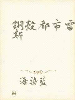 钢壳都市雷吉欧斯