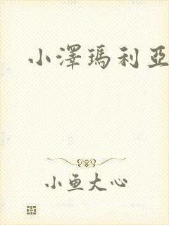 小泽玛利亚作品