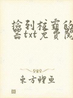 捡到校霸的遥控器txt免费阅读