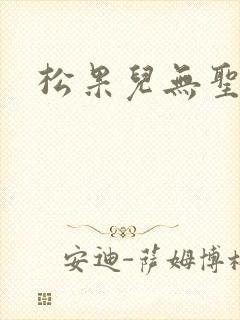 松果儿无圣光封面
