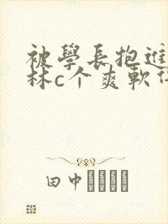 被学长抱进小树林c个爽软件