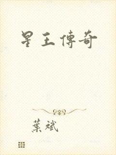 星王传奇