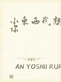 小东西我想弄坏你封面