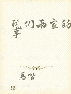 我们两家的荒唐事封面