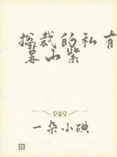 总裁的私有宝贝 暮山紫封面