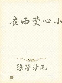 夜雨莹心小说