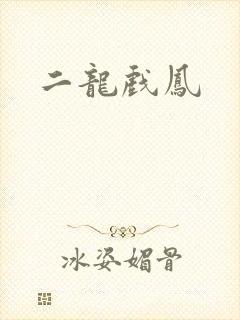 二龙戏凤