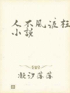 人不风流枉少年小说