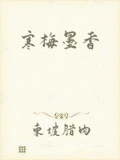寒梅墨香封面