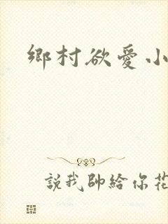 乡村欲爱小说封面