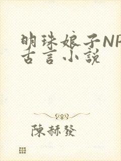 明珠娘子NPC古言小说