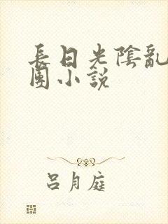 长日光阴乱作一团小说