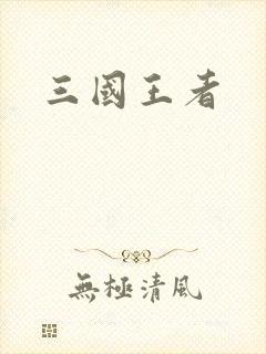 三国王者