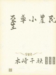 至尊小农民王木生封面