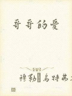 哥哥的爱